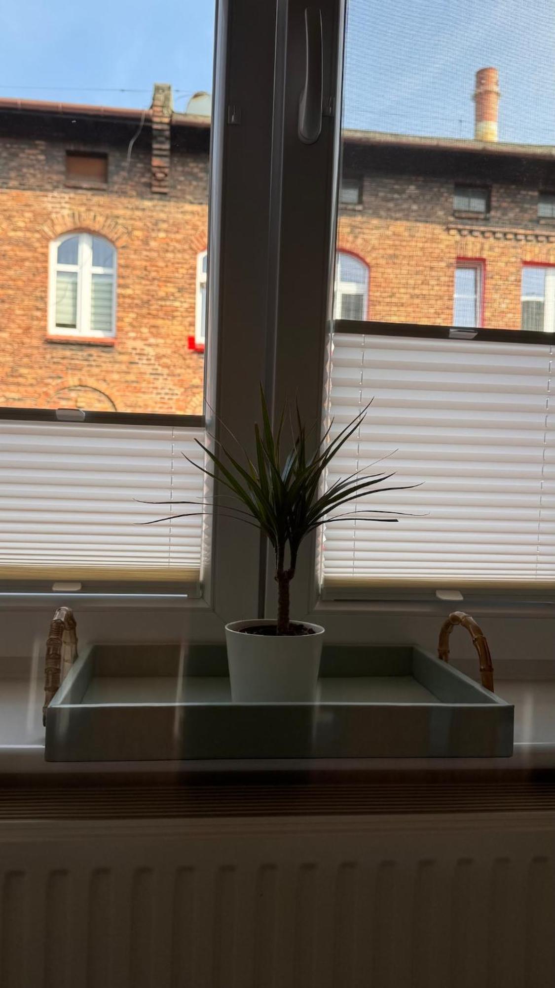Apartment Domowo Katowice